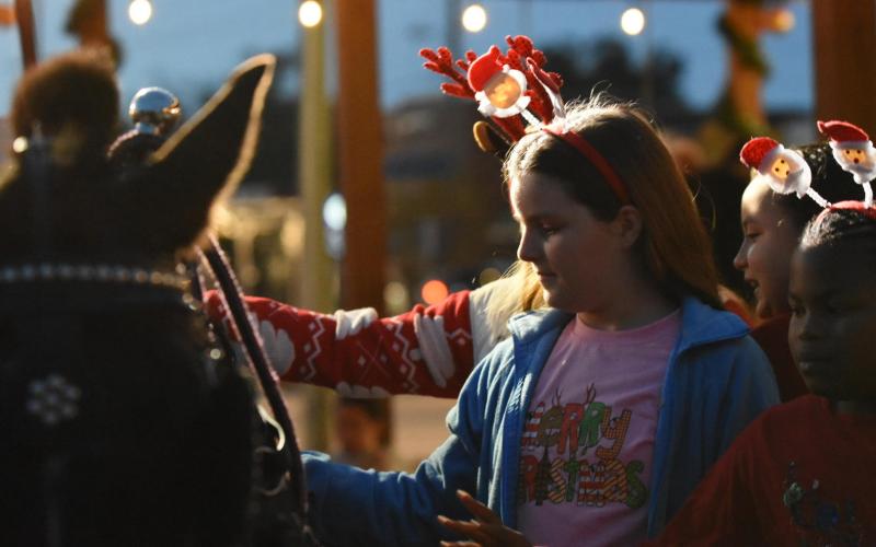 Wayne County youth turn a horse-drawn carriage into more of a petting zoo as children return through the evening to pet the horses.